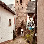 Und Neckarblick Bei Heidelberg 아파트
