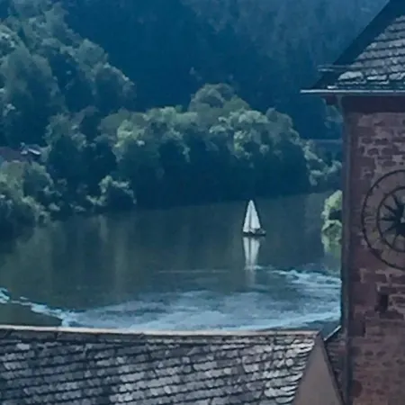 아파트 Und Neckarblick Bei Heidelberg