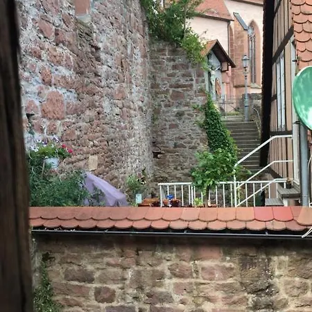 Und Neckarblick Bei Heidelberg Hirschhorn