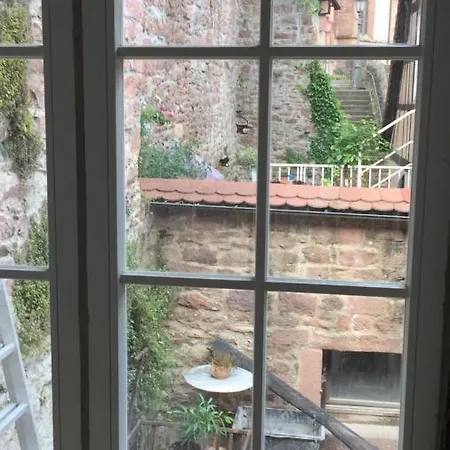 Apartman Und Neckarblick Bei Heidelberg Hirschhorn