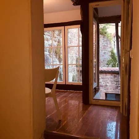 Und Neckarblick Bei Heidelberg *