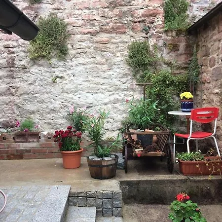 Und Neckarblick Bei Heidelberg Lejlighed Hirschhorn