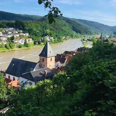 Und Neckarblick Bei Heidelberg * 히르슈호른