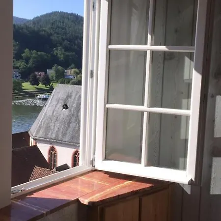 Und Neckarblick Bei Heidelberg * Hirschhorn