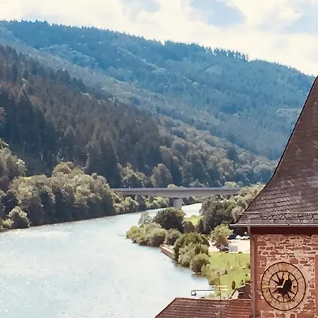 Und Neckarblick Bei Heidelberg *