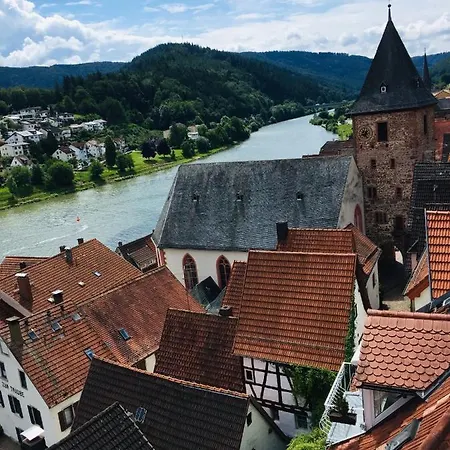 Apartment Und Neckarblick Bei Heidelberg