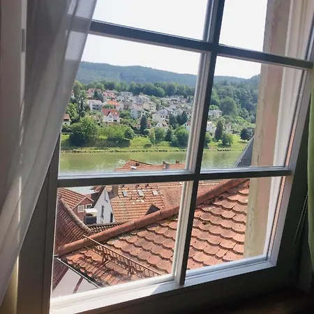 아파트 Und Neckarblick Bei Heidelberg