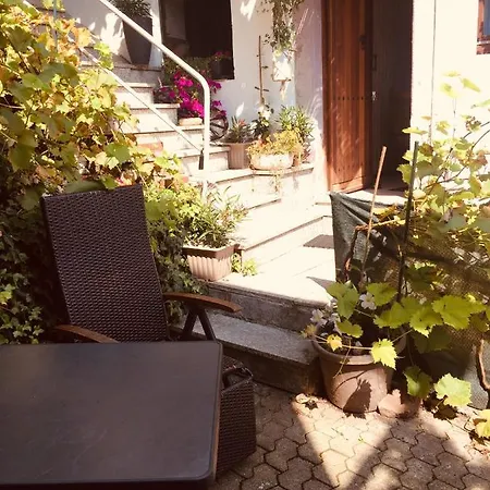 Und Neckarblick Bei Heidelberg * 히르슈호른
