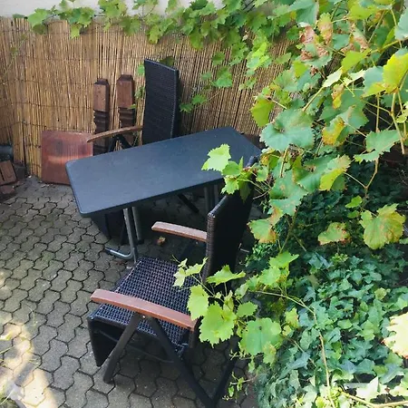 Und Neckarblick Bei Heidelberg *