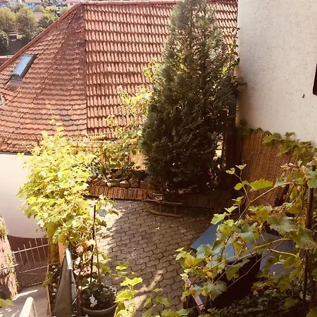 아파트 Und Neckarblick Bei Heidelberg *