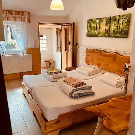 Und Neckarblick Bei Heidelberg Hirschhorn