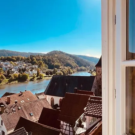아파트 Und Neckarblick Bei Heidelberg
