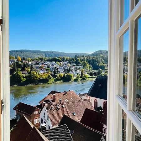 Und Neckarblick Bei Heidelberg *