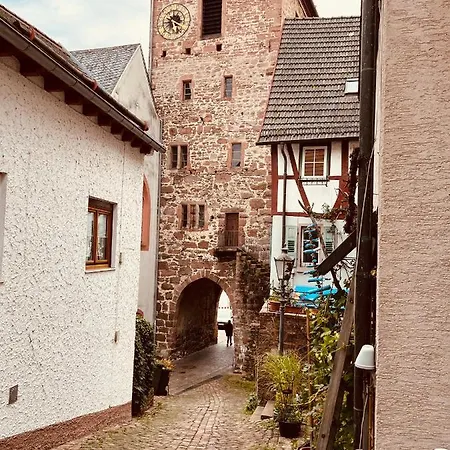 Und Neckarblick Bei Heidelberg アパート