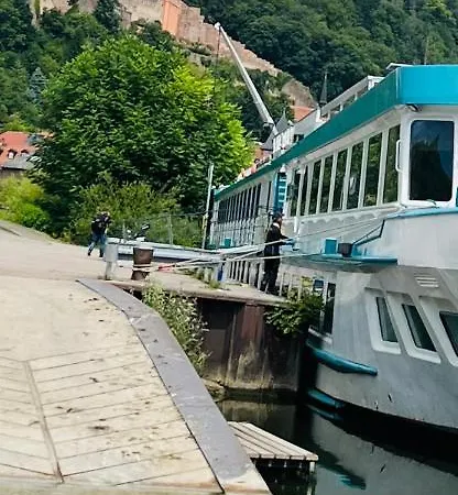 Und Neckarblick Bei Heidelberg 아파트 히르슈호른