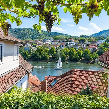 아파트 Und Neckarblick Bei Heidelberg 히르슈호른