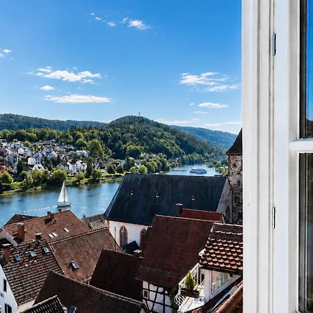 Und Neckarblick Bei Heidelberg *