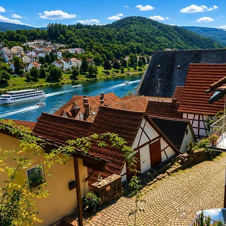 아파트 Und Neckarblick Bei Heidelberg *
