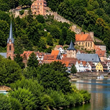 Und Neckarblick Bei Heidelberg Hirschhorn