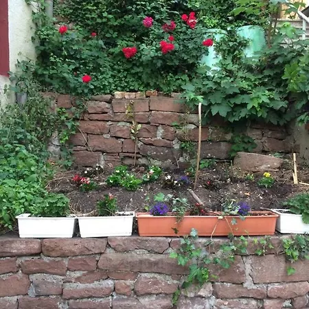 Und Neckarblick Bei Heidelberg شقة *