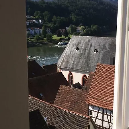Und Neckarblick Bei Heidelberg 아파트 히르슈호른