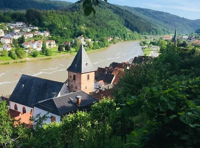 Und Neckarblick Bei Heidelberg * 히르슈호른